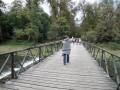 QDSC00941