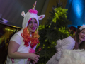 mekipics2018_Bänkli_Bockobig_04046