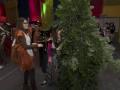 mekipics2018_Bänkli_Bockobig_04191