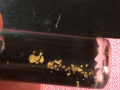 IMG-20181020-WA0033