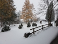20171119_084530